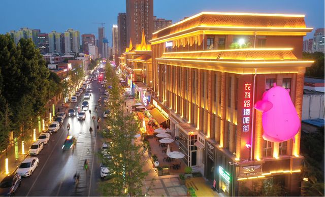媒体看金水︱助推城市蝶变！郑州金水城管局亮出“年终答卷”(图8)