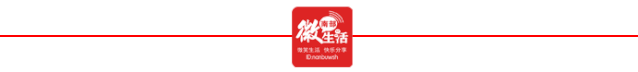 禁左！南部金洞路加装了交通护栏(图4)