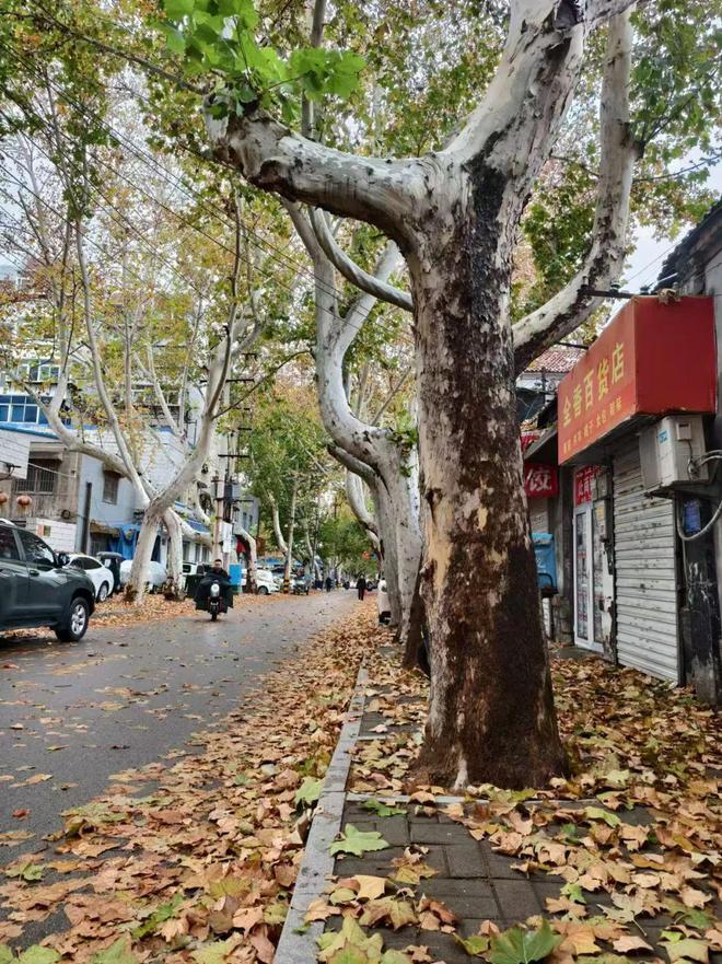 济南CBD与张马屯：让居民挠头的街区制(图5)