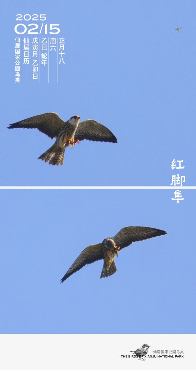 速看！“开学模式”交通指南来了→