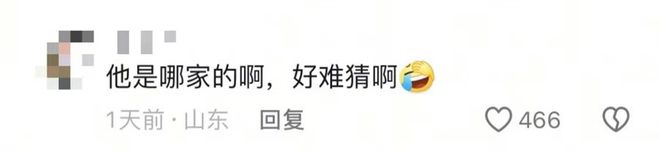 伪造国标给小米SU7火上浇油维权车主竟变撒谎精尽失人心？(图4)