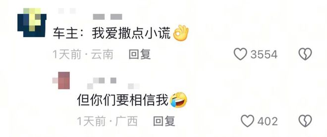 伪造国标给小米SU7火上浇油维权车主竟变撒谎精尽失人心？(图9)
