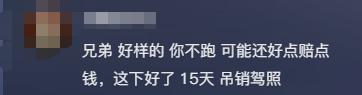 过于任性！小车高速上违停接人致后方多车追尾司机却扬长而去(图6)
