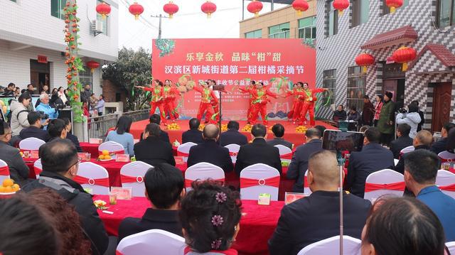 汉滨区新城街道：扮靓乡村颜值绘就振兴画卷(图4)