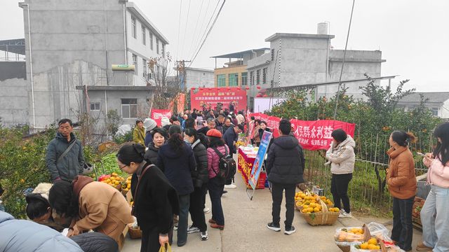 汉滨区新城街道：扮靓乡村颜值绘就振兴画卷(图5)