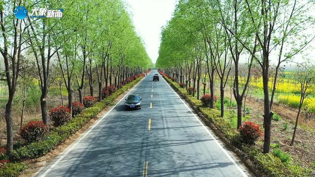 【干出“新”精彩】新乡市农村交通基础设施建设提档升级(图2)