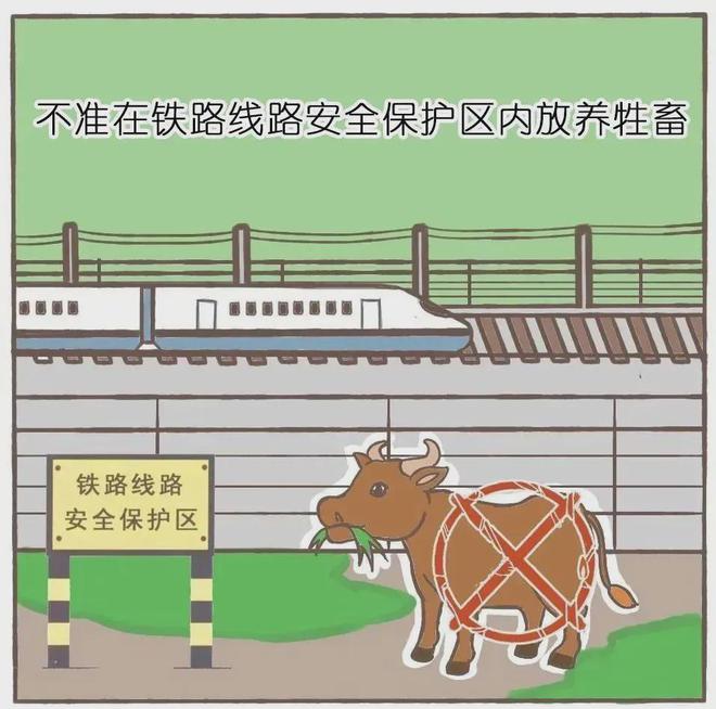 知路爱路筑平安争做护路小卫士！(图2)