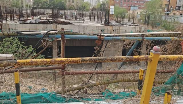 水泥墩防违停车辆频撞保险杠郑州这条路“硬隔离”引争议(图3)