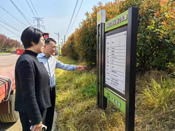 相城望亭镇开展交通基础设施综合巡查