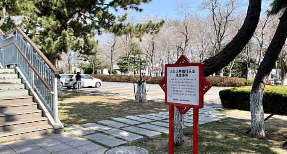 威海市环翠区开展行道树“理发”行动优化城市交通环境(图3)