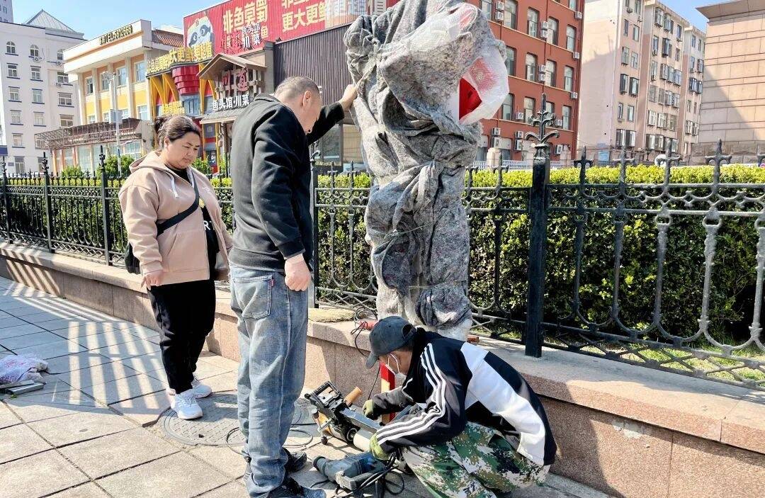 威海市环翠区开展行道树“理发”行动优化城市交通环境(图4)