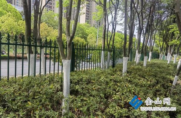 增设安全护栏“小”举措保障市民通行“大”安全