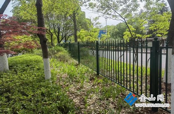 增设安全护栏“小”举措保障市民通行“大”安全(图2)