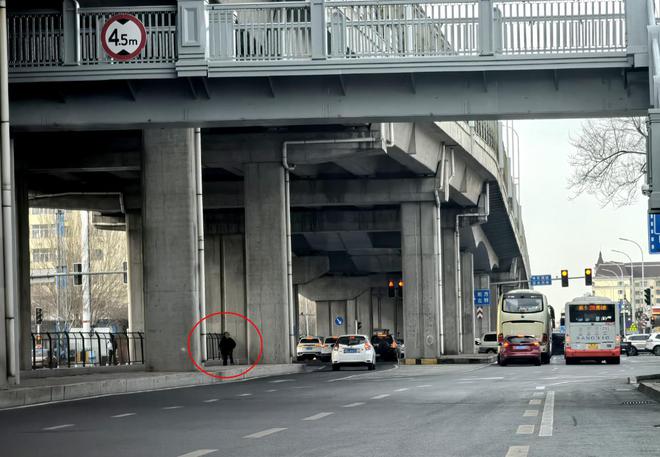 冰城治理行人过街违法行为涉及穿行机动车道、翻越隔离护栏(图3)