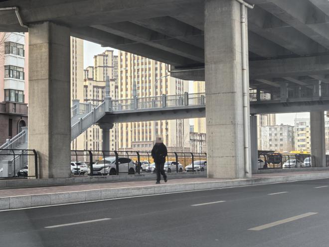 冰城治理行人过街违法行为涉及穿行机动车道、翻越隔离护栏(图4)