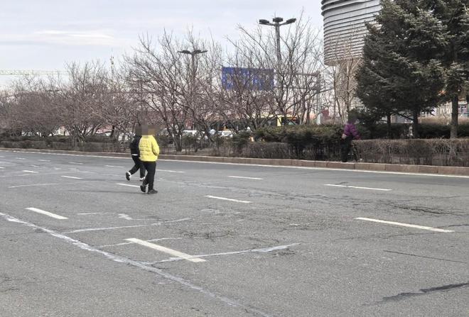 冰城治理行人过街违法行为涉及穿行机动车道、翻越隔离护栏(图7)