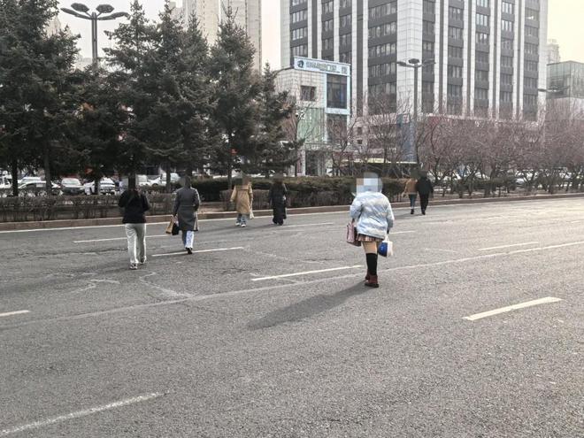 冰城治理行人过街违法行为涉及穿行机动车道、翻越隔离护栏(图8)
