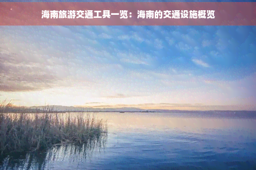 海南旅游交通工具一览：海南的交通设施概览