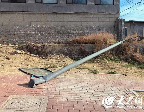 招远这些交通事故让人后背发凉！酒驾、逃逸、忘拉手刹撞倒电线杆…(图8)