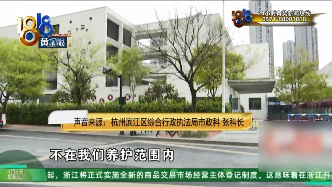 伤残十级起诉三家都没告对谁是主体方？(图6)