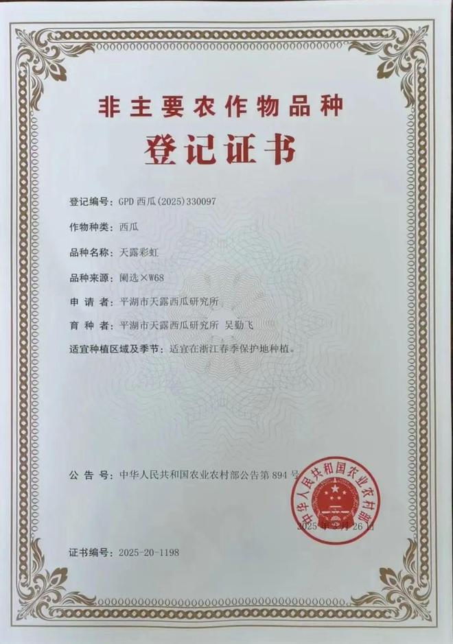 平湖西瓜有了新品种！口感如冰淇淋一般甜香！平湖人你们尝过了吗？