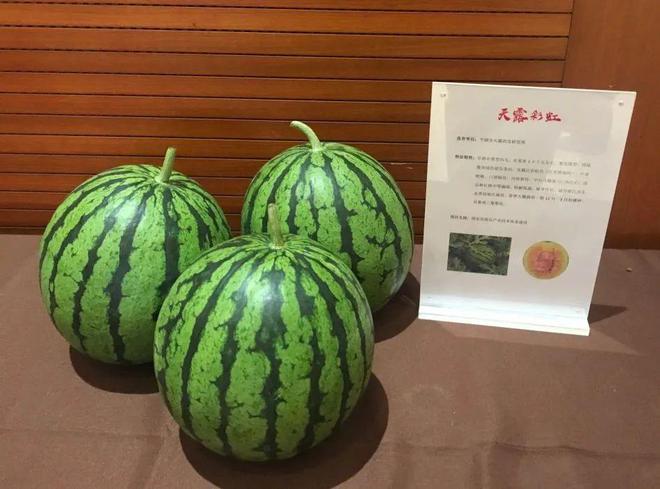 平湖西瓜有了新品种！口感如冰淇淋一般甜香！平湖人你们尝过了吗？(图2)
