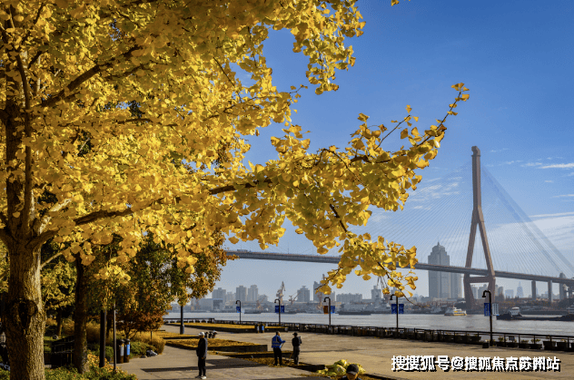 瑞安翠湖滨江(售楼处)首页网站-瑞安翠湖滨江售楼处欢迎您-楼盘详情-户型配套-最新价格-最新资讯-位置(图8)