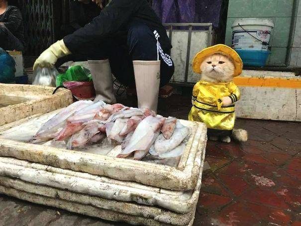 二四六香港天天开彩大全