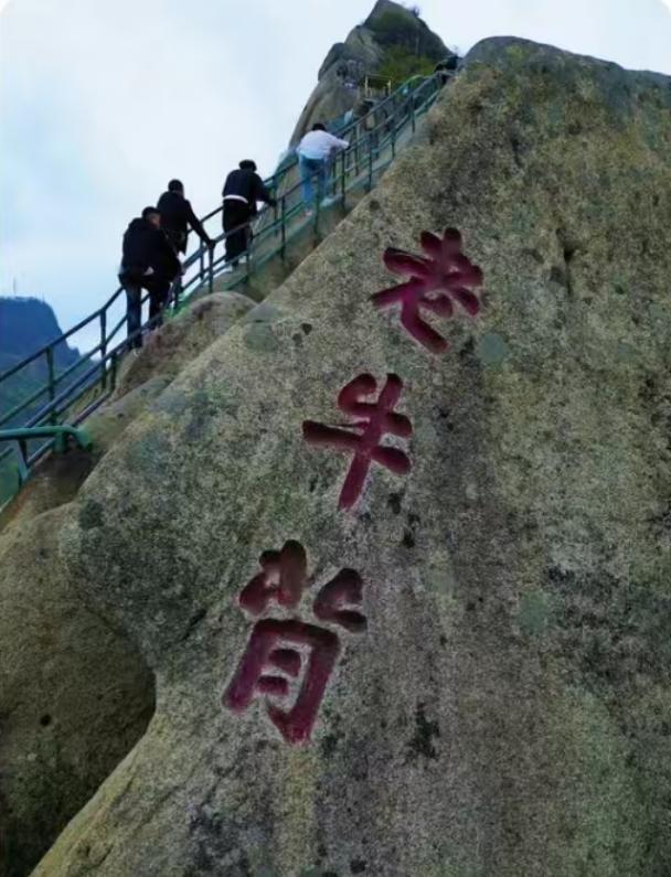 媒体谈游客坠亡：护栏高度是否合规安全防护需重视