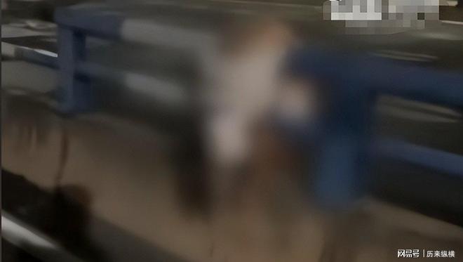 重庆摩托飙车2人死亡曝光女子半身挂护栏知情者曝更多(图5)
