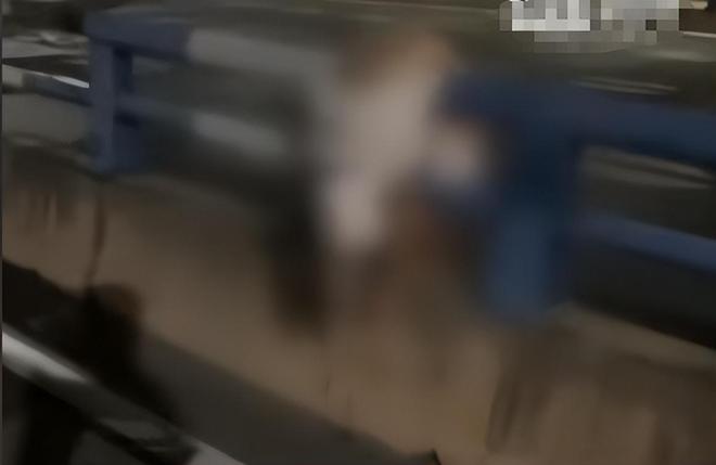重庆摩托飙车惨剧女子挂护栏场面血腥知情人曝车祸原因