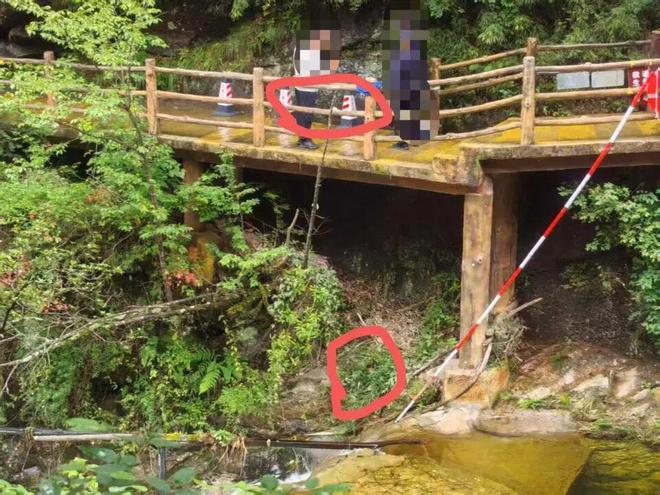 3岁男童景区栈道旁缝隙坠落家长称无警示标识；景区回应：已加装护栏进行整改(图2)
