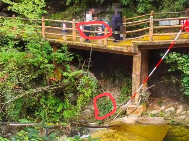 景区回应男童坠落栈道已加装护栏游客反映安全隐患(图2)