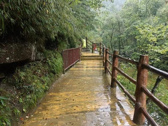 景区回应男童坠落栈道已加装护栏游客反映安全隐患