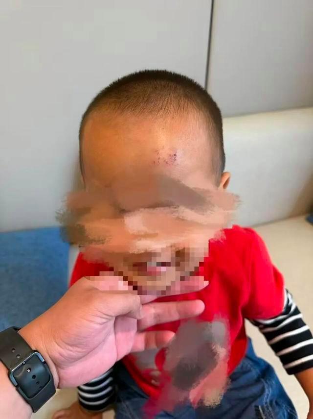 景区回应男童坠落栈道已加装护栏游客反映安全隐患(图3)