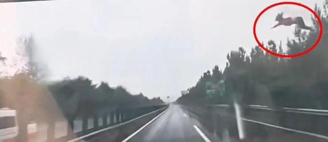 太惊险了！SUV疑打滑失控撞护栏翻滚女子被甩到空中！交警提醒→(图3)