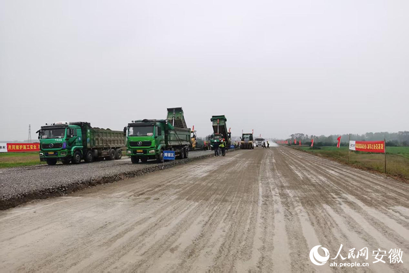 滁州定远：打造绿色公路推动国道升级(图2)
