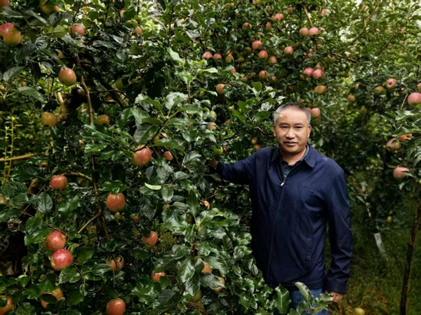 云南昭通：从“梗阻线”到“连心路”(图2)