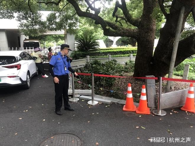 古树护栏遭撞击“冒失”车主损失大(图2)