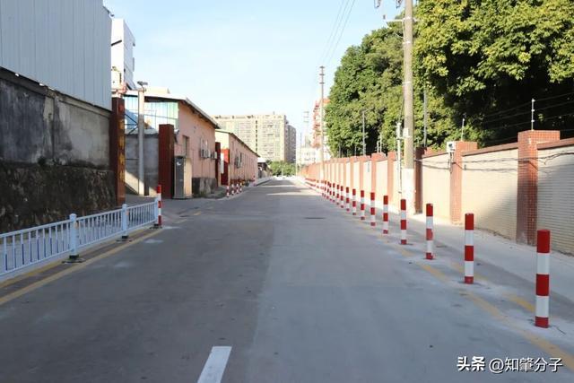 东莞一道路清理乱停放车辆、加设隔离护栏等(图4)