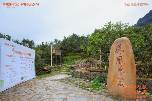服务450个百千万工程项目中国平安四向发力支持广东乡村振兴(图2)