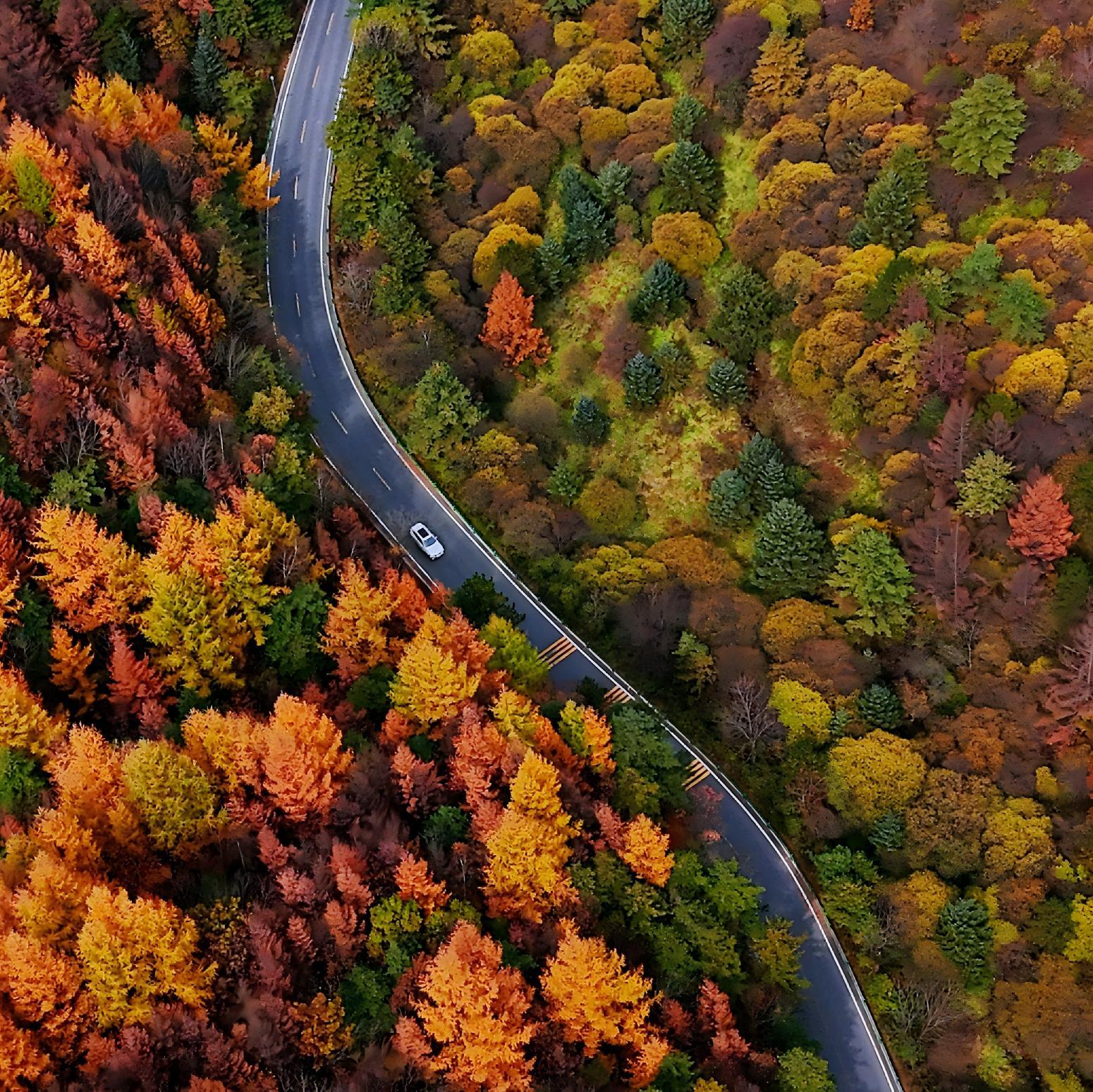 陕西公路：精准管养筑基智慧绿色赋能(图4)