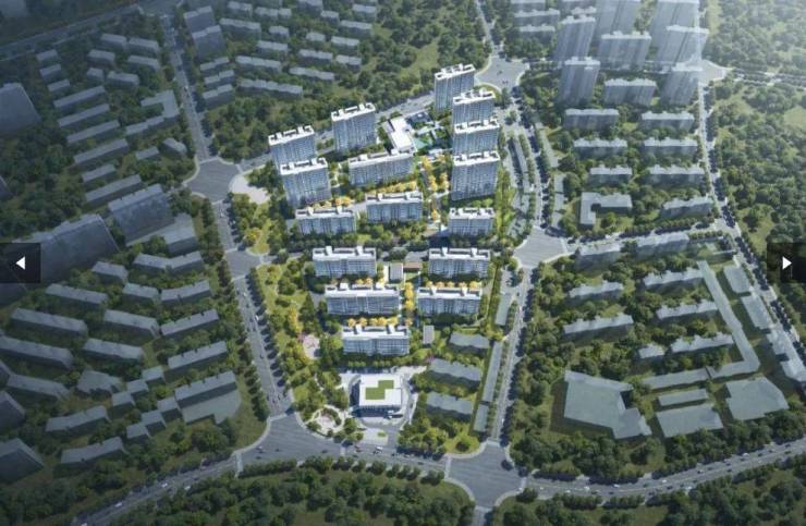 保利琅悦项目电话号码-学区(图5)
