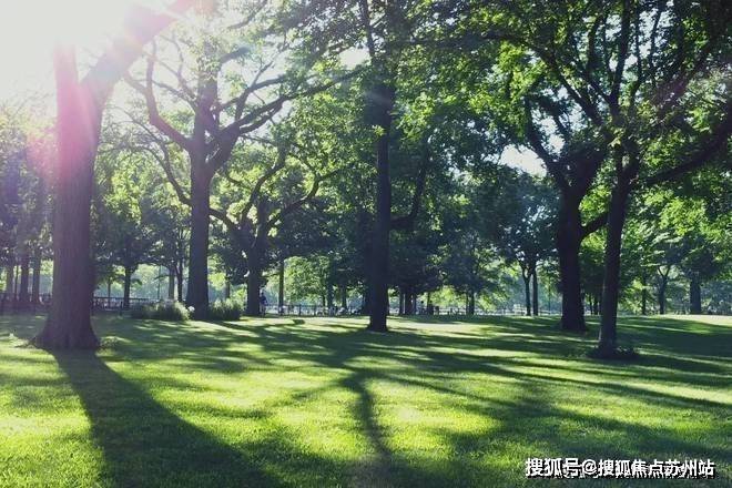 大华公园柏翠(售楼处)首页-大华公园柏翠销售中心-环境-户型价格-地址-楼盘详情-配套-电话-交房时间-配套-电话-交房时间(图21)