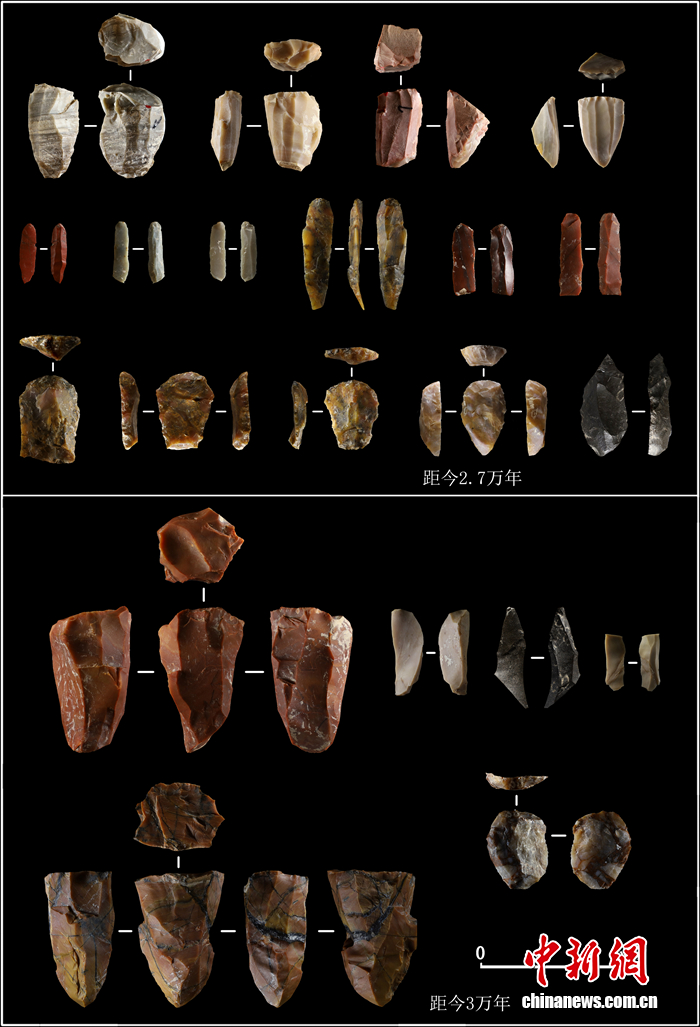 驻马店新闻(图4)
