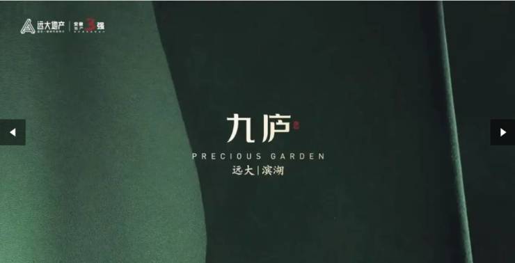 合肥远大九庐楼盘多少钱一平值得买吗最新消息降价严重(图2)