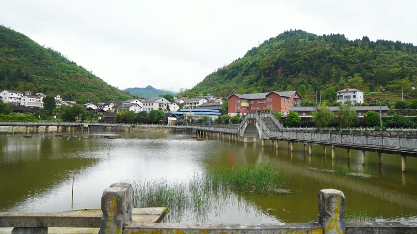 贵州务川“以路兴商”激活乡村一池春水(图4)